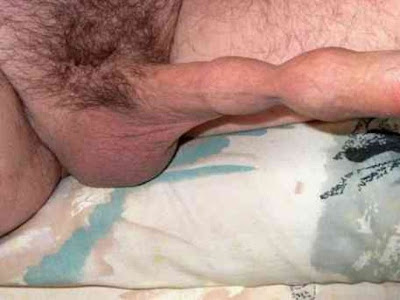 free shemale gangbang video gay bath houses in ontario